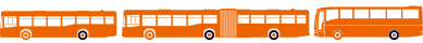 mezzi_ecotour